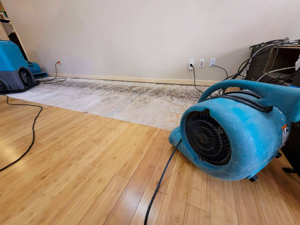 Reliable Basement Flood Cleanup contractor in Lebanon, ME by Hirex Water Damage