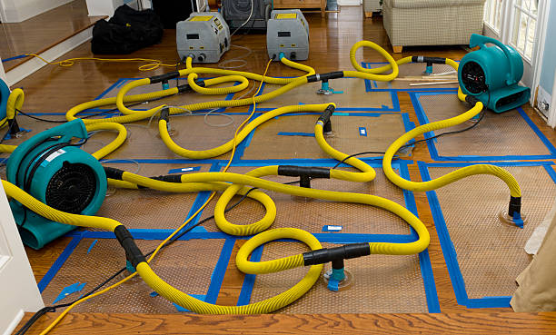 Professional Basement Flood Cleanup technician working in Lebanon, ME